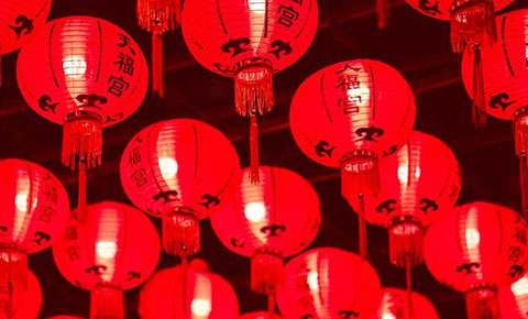 会员福利 | 2021年逗维空间会员迎新活动