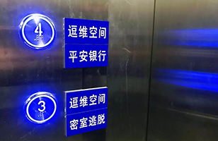 逗维二期小“剧透” (一）
