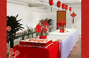 逗维空间祝大家鼠年春节快乐！